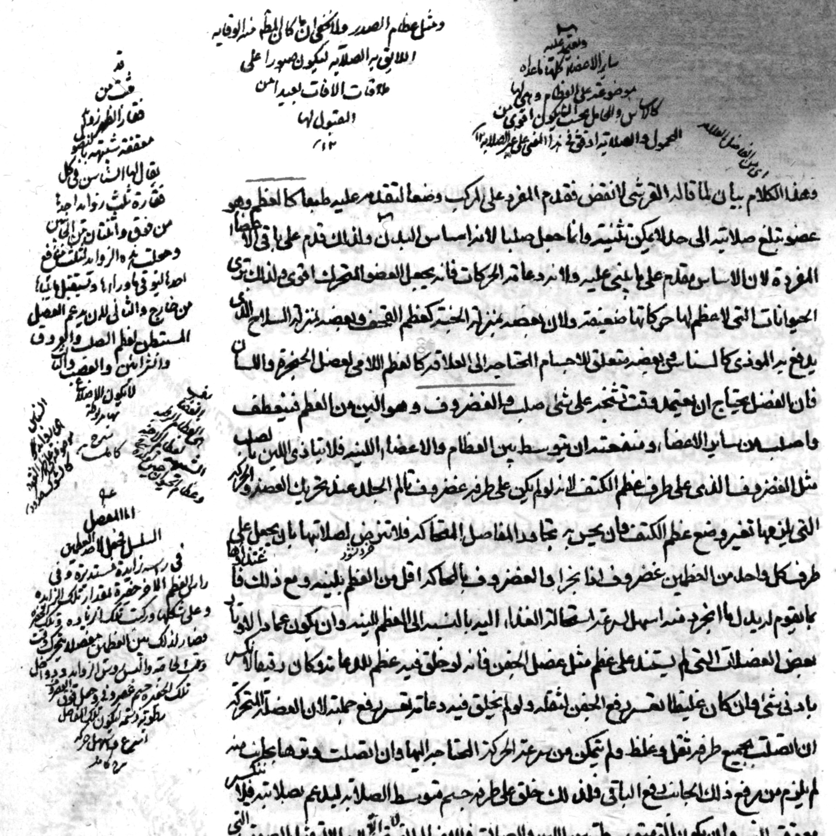 An image of text in Arabic.